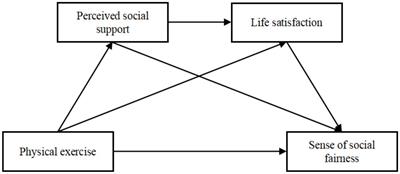 The relationship between physical exercise and sense of social fairness among college students: the chain-mediated role of perceived social support and life satisfaction